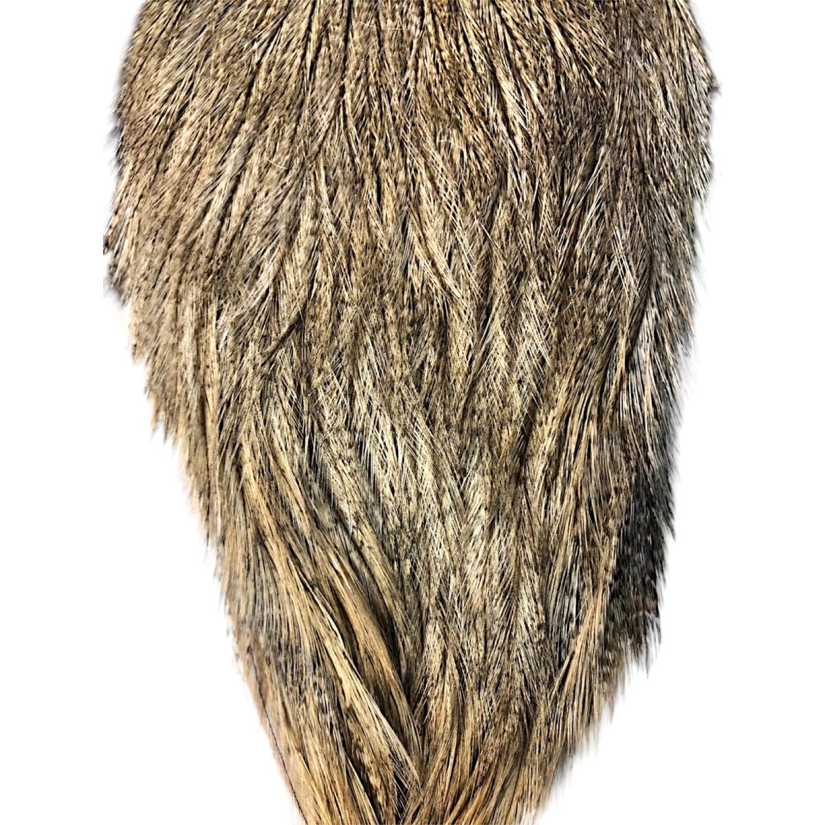 画像3: WHITING　Coq de Leon　Rooster Cape　ルースターケープ　ライトパルド　RC10　ホワイティング　 (3)