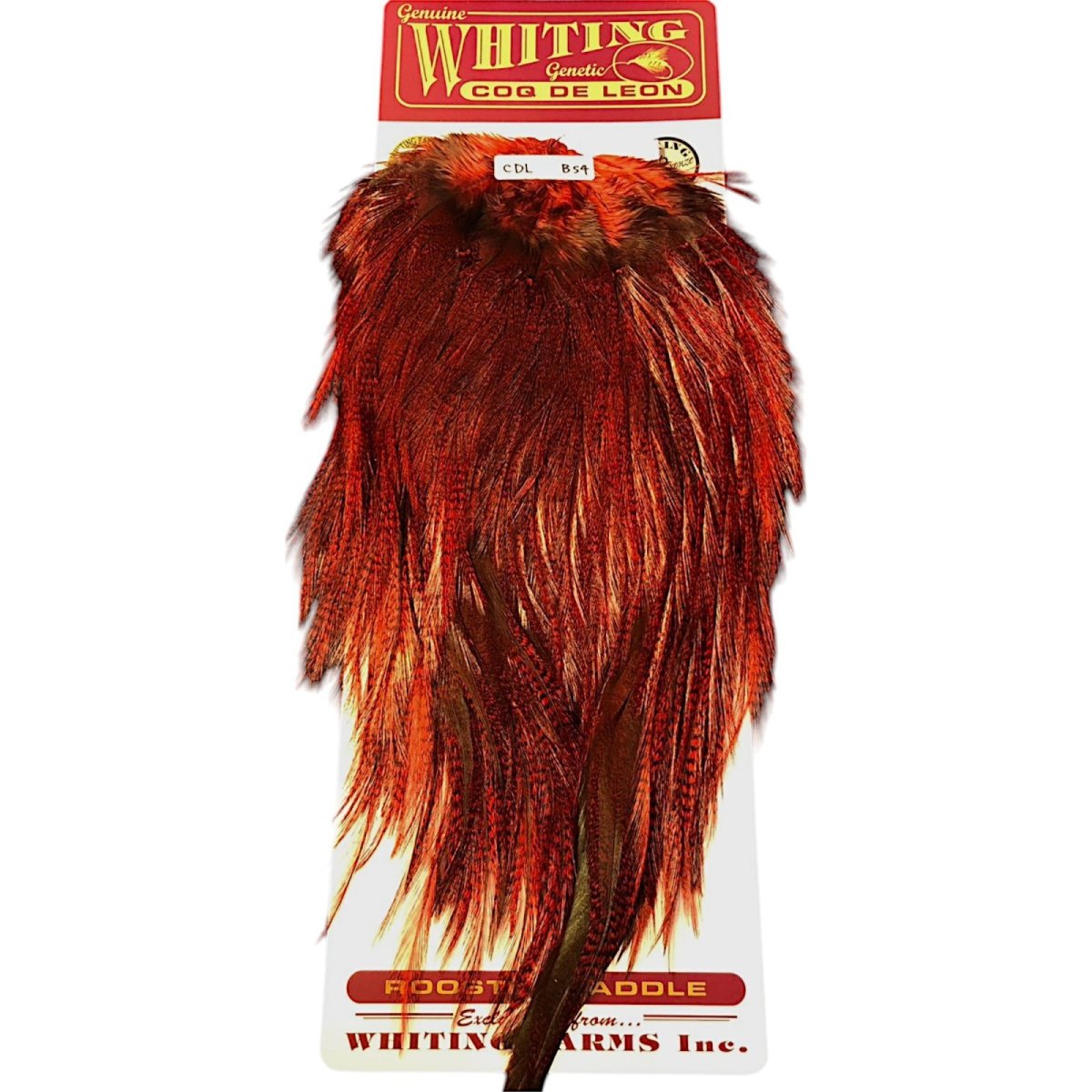 画像1: WHITING　Coq de Leon　Rooster Saddle　ルースターサドル　ダイドレッド　Bronze Grade 　BS4　ホワイティング　 (1)