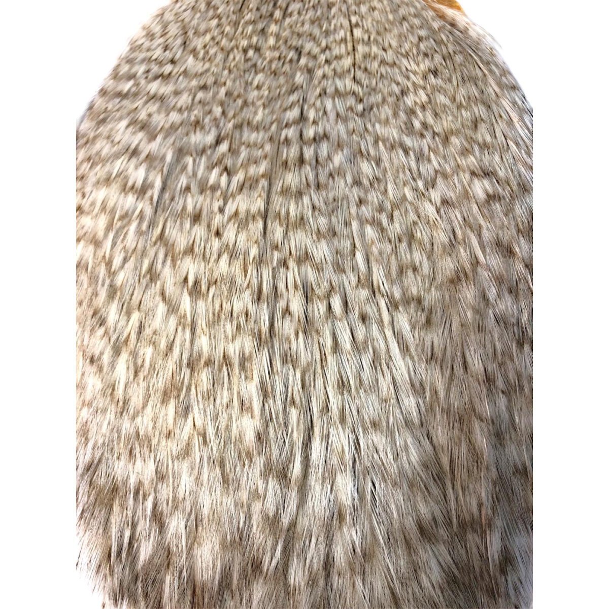 画像2: WHITING Coq de Leon Rooster Cape ルースターケープ グリズリーパルド RC5 ホワイティング  (2)