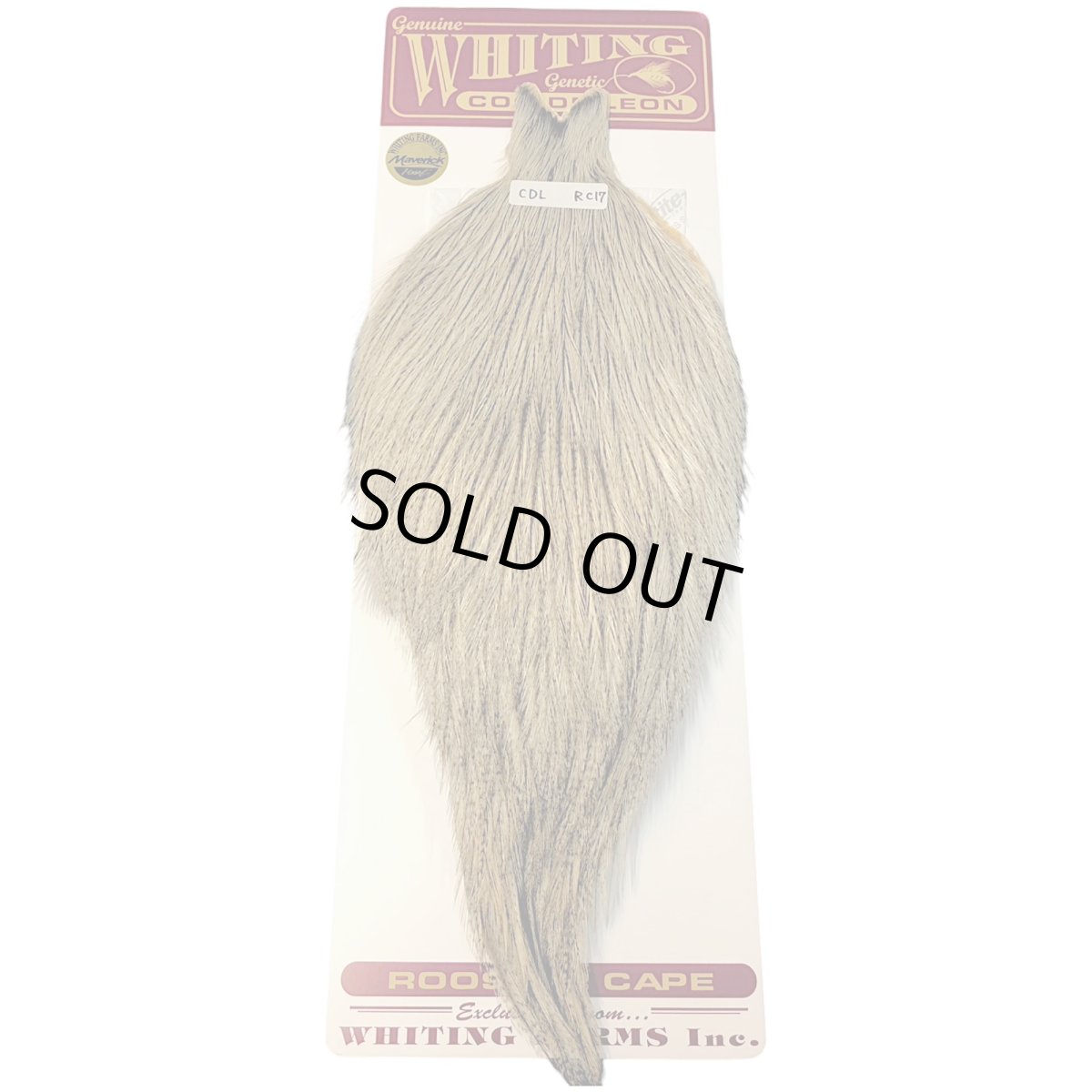 画像1: WHITING　Coq de Leon　Rooster Cape　ルースターケープ　クリームバジャー　RC17　ホワイティング　 (1)