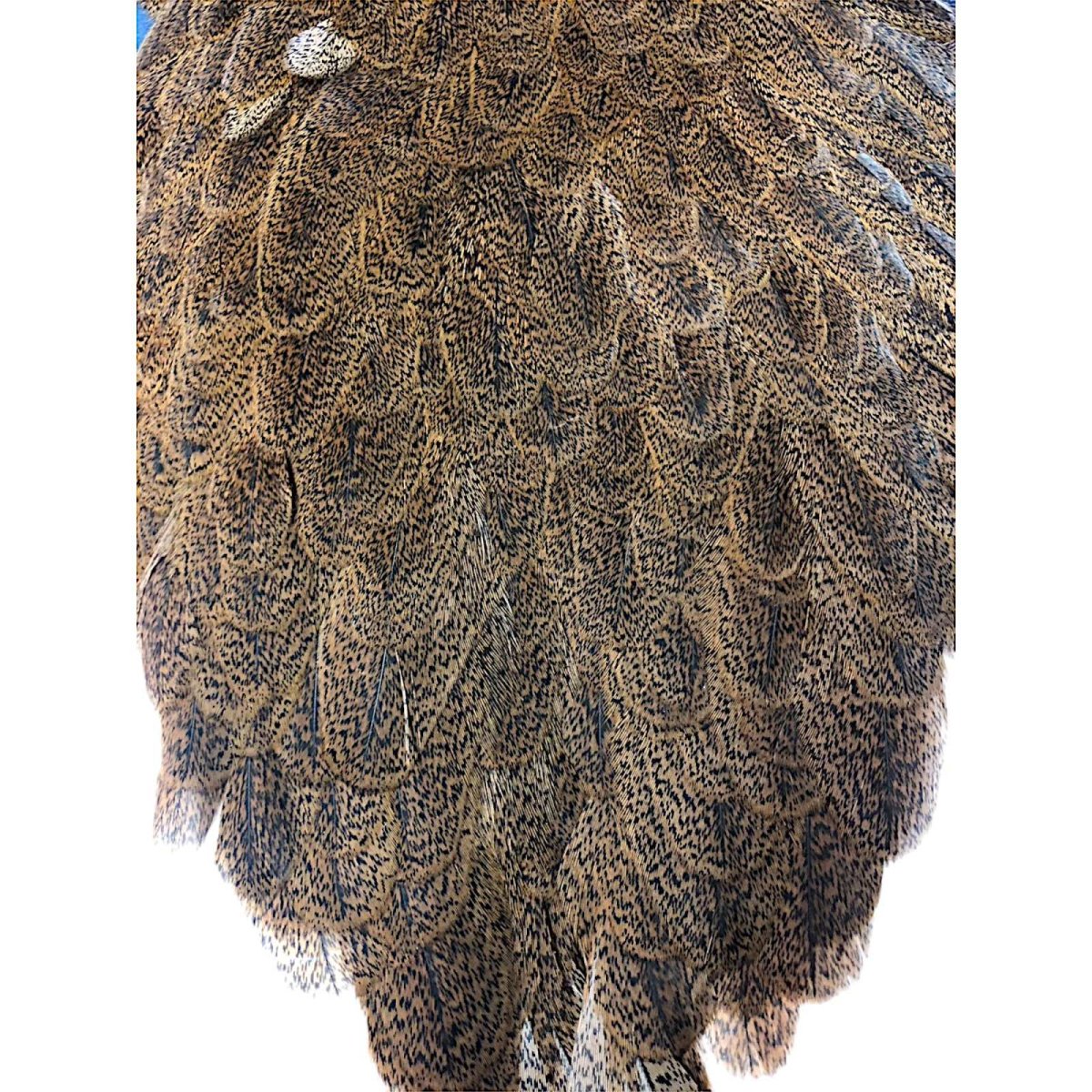 画像3: WHITING Coq de Leon Hen Saddle ヘンサドル ジンジャースペックルド HS2 ホワイティング  (3)