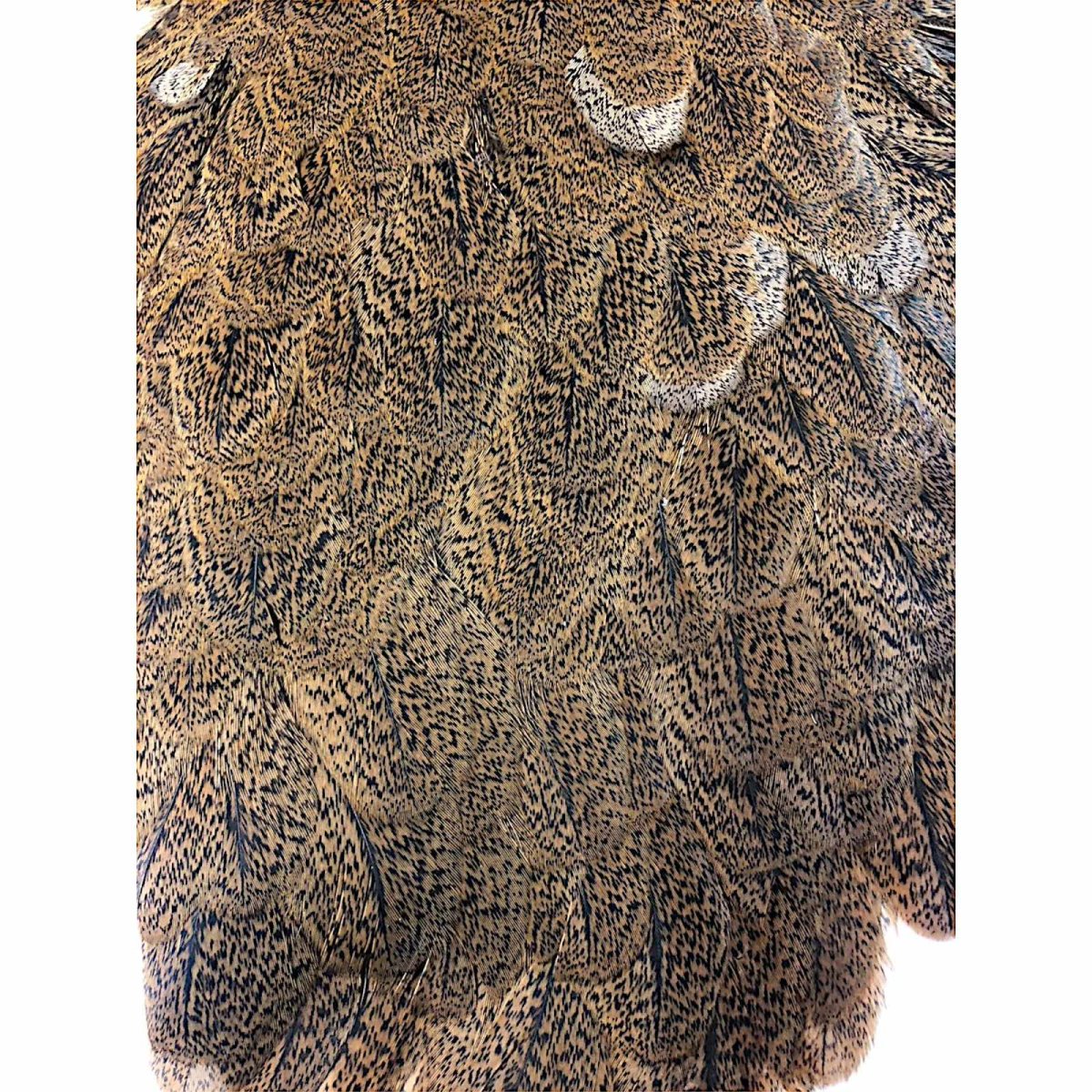 画像3: WHITING Coq de Leon Hen Saddle ヘンサドル ジンジャースペックルド HS3 ホワイティング  (3)