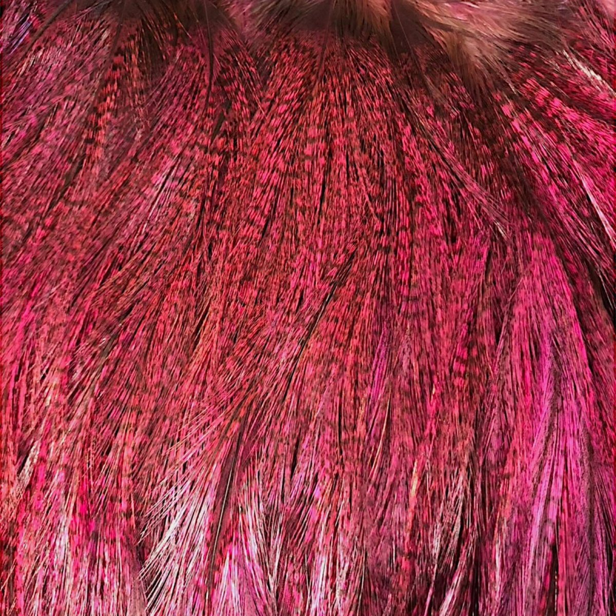 画像2: WHITING Coq de Leon Rooster Saddle ルースターサドル ダイドピンク Bronze Grade  BS9 ホワイティング  (2)