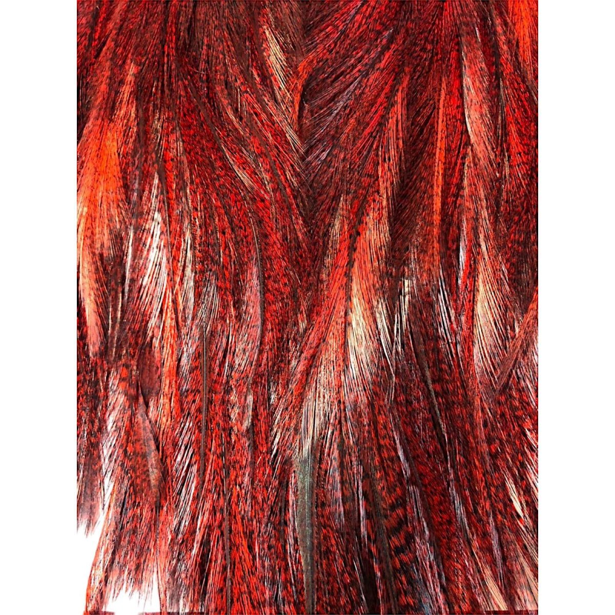 画像3: WHITING Coq de Leon Rooster Saddle ルースターサドル ダイドレッド Bronze Grade  BS3 ホワイティング  (3)