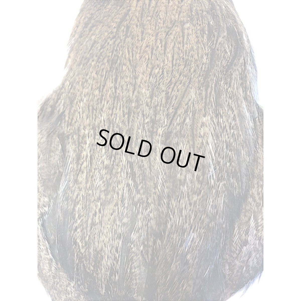 画像3: WHITING Coq de Leon Hen Cape ヘンケープ ゴールデンバジャー  HC7 ホワイティング  (3)