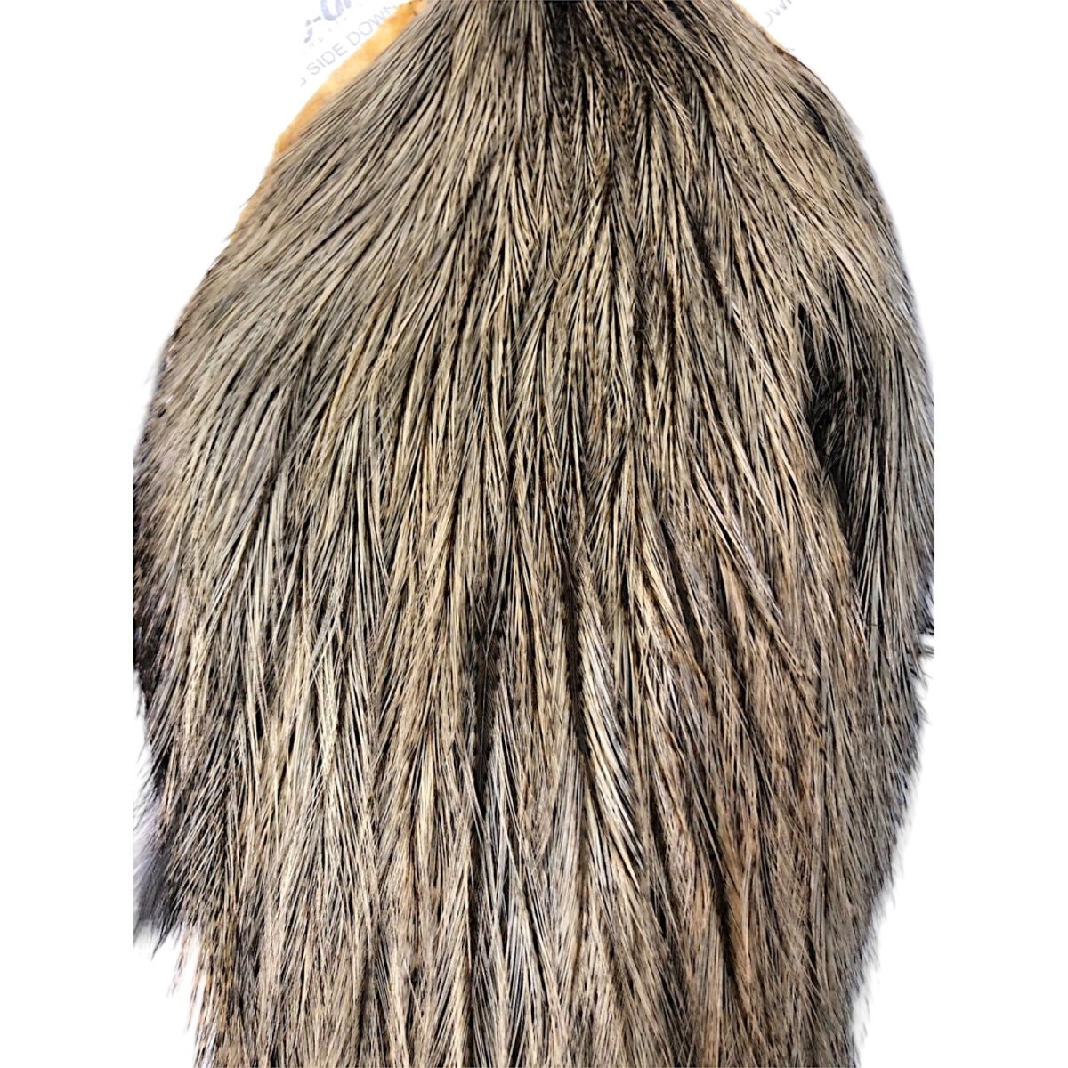 画像2: WHITING Coq de Leon Rooster Cape ルースターケープ クリームバジャー RC21 ホワイティング  (2)