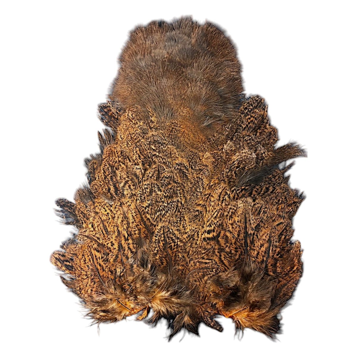 画像2: WHITING Coq de Leon Rooster & Hen Soft Hackle with Chickabou チカブー ダイドシュリンプオレンジ CB8 ホワイティング  (2)