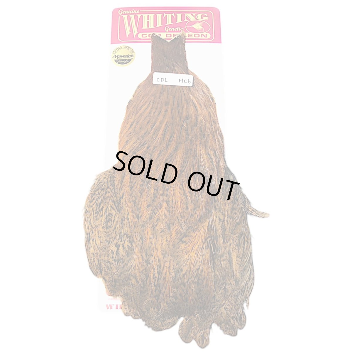 画像1: WHITING　Coq de Leon　Hen Cape　ヘンケープ　ジンジャースペックルド 　HC6　ホワイティング　 (1)