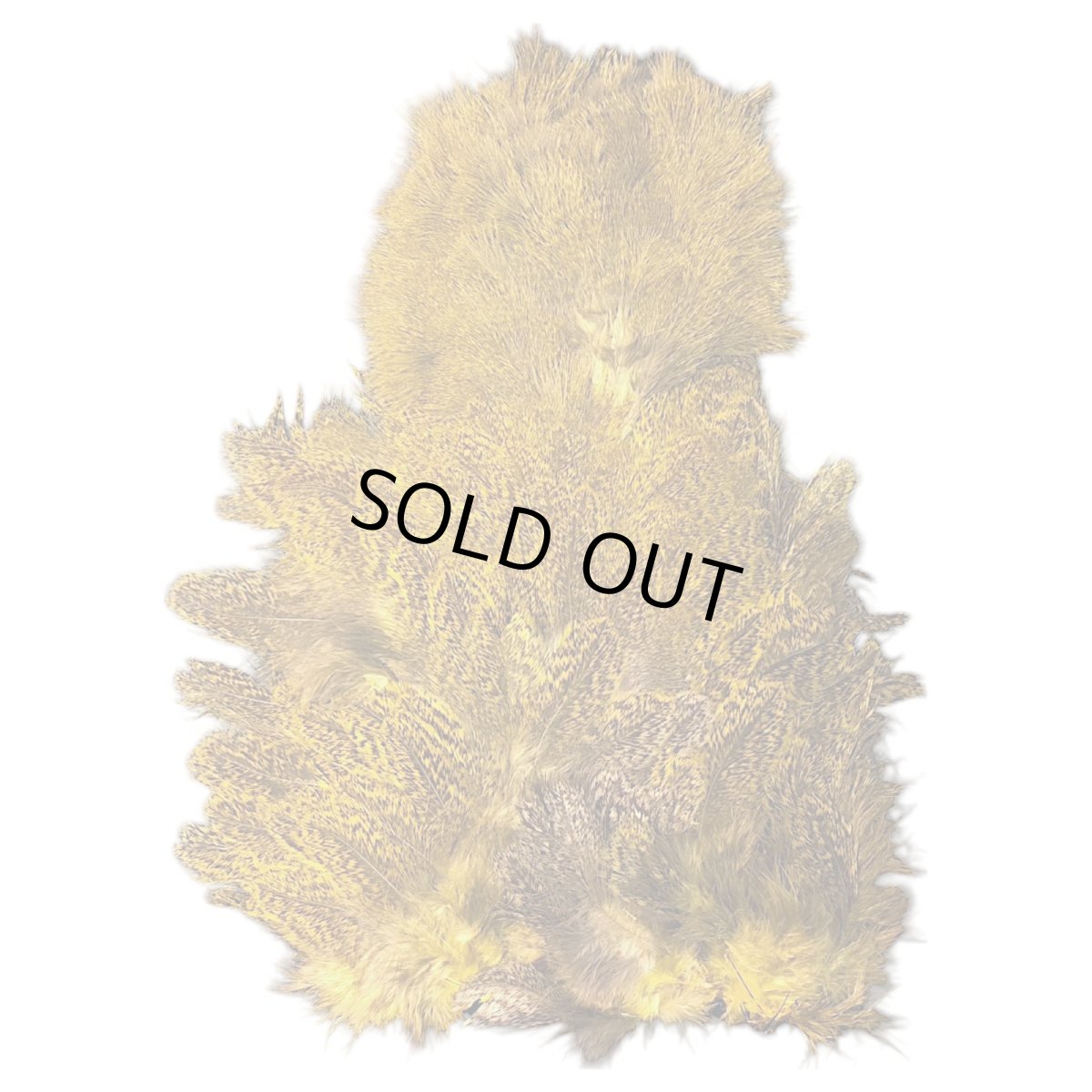 画像2: WHITING Coq de Leon Rooster & Hen Soft Hackle with Chickabou チカブー ダイドイエロー CB11 ホワイティング  (2)