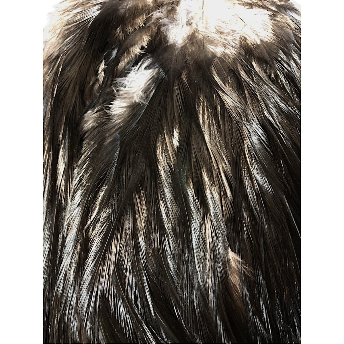 画像2: WHITING Coq de Leon Rooster Saddle ルースターサドル ブラック Bronze Grade  BS1 ホワイティング  (2)