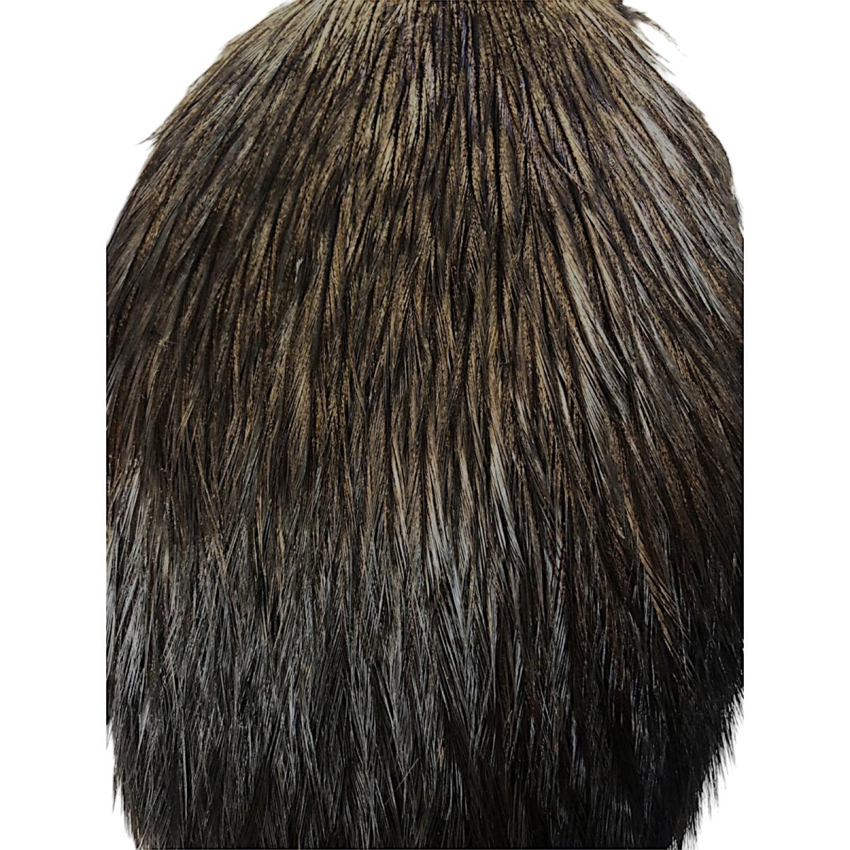 画像2: WHITING Coq de Leon Rooster Cape ルースターケープ ブラック RC15 ホワイティング  (2)