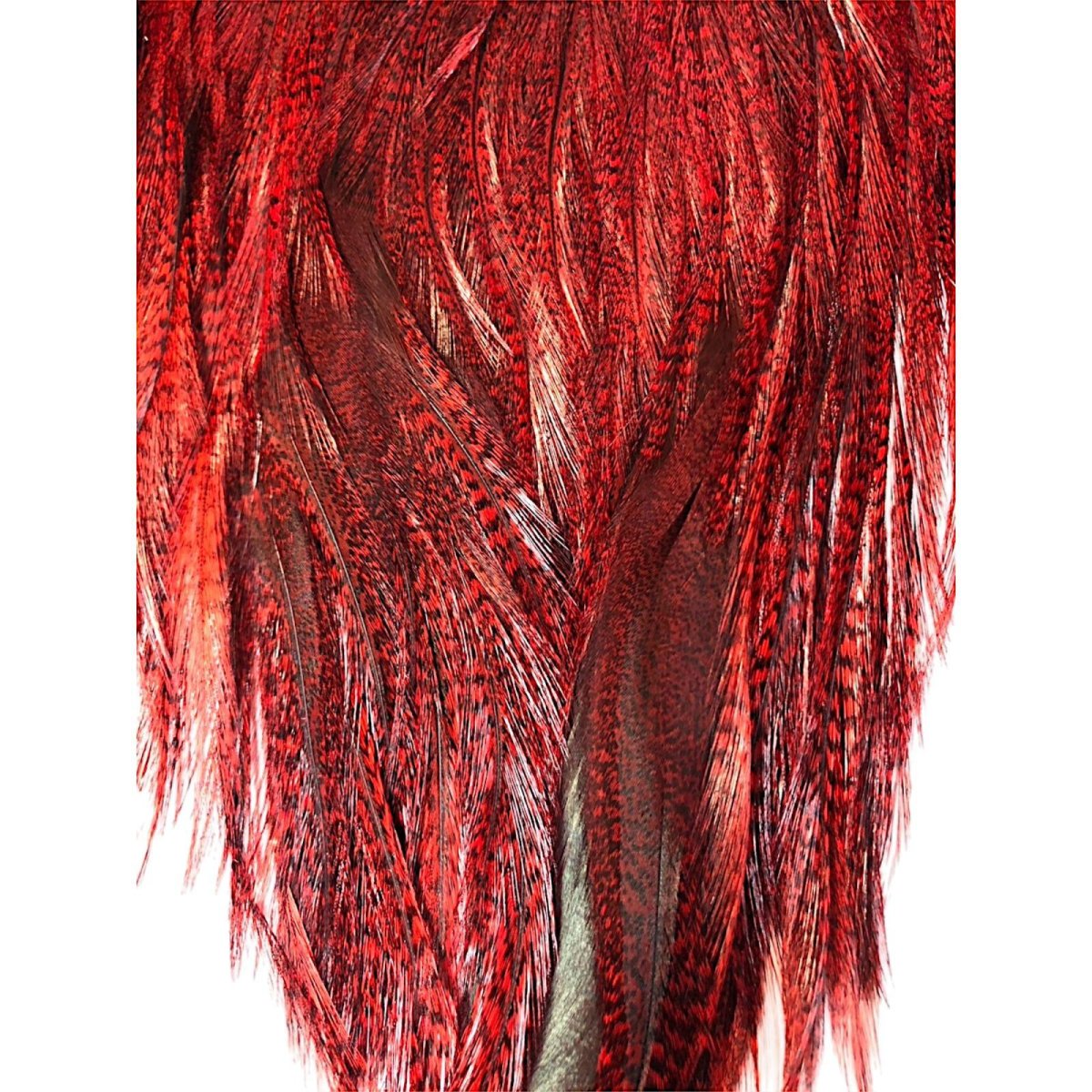 画像3: WHITING Coq de Leon Rooster Saddle ルースターサドル ダイドレッド Bronze Grade  BS4 ホワイティング  (3)