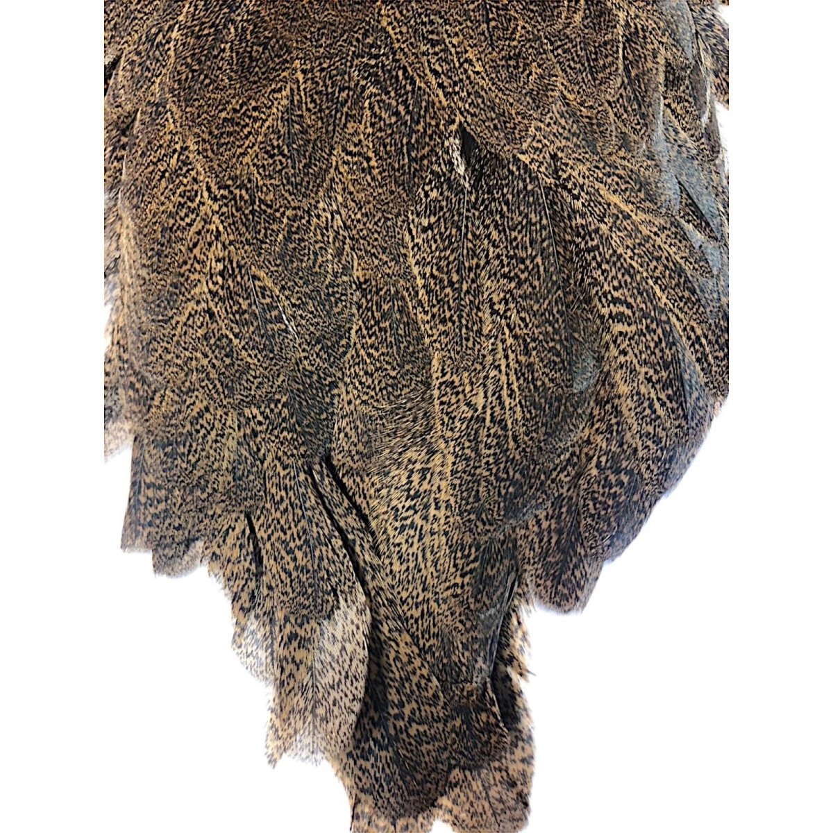 画像3: WHITING Coq de Leon Hen Saddle ヘンサドル ジンジャースペックルド HS4 ホワイティング  (3)