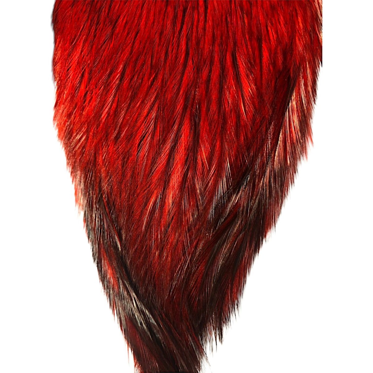 画像3: WHITING Coq de Leon Rooster Cape ルースターケープ ダイドレッド RC24 ホワイティング  (3)