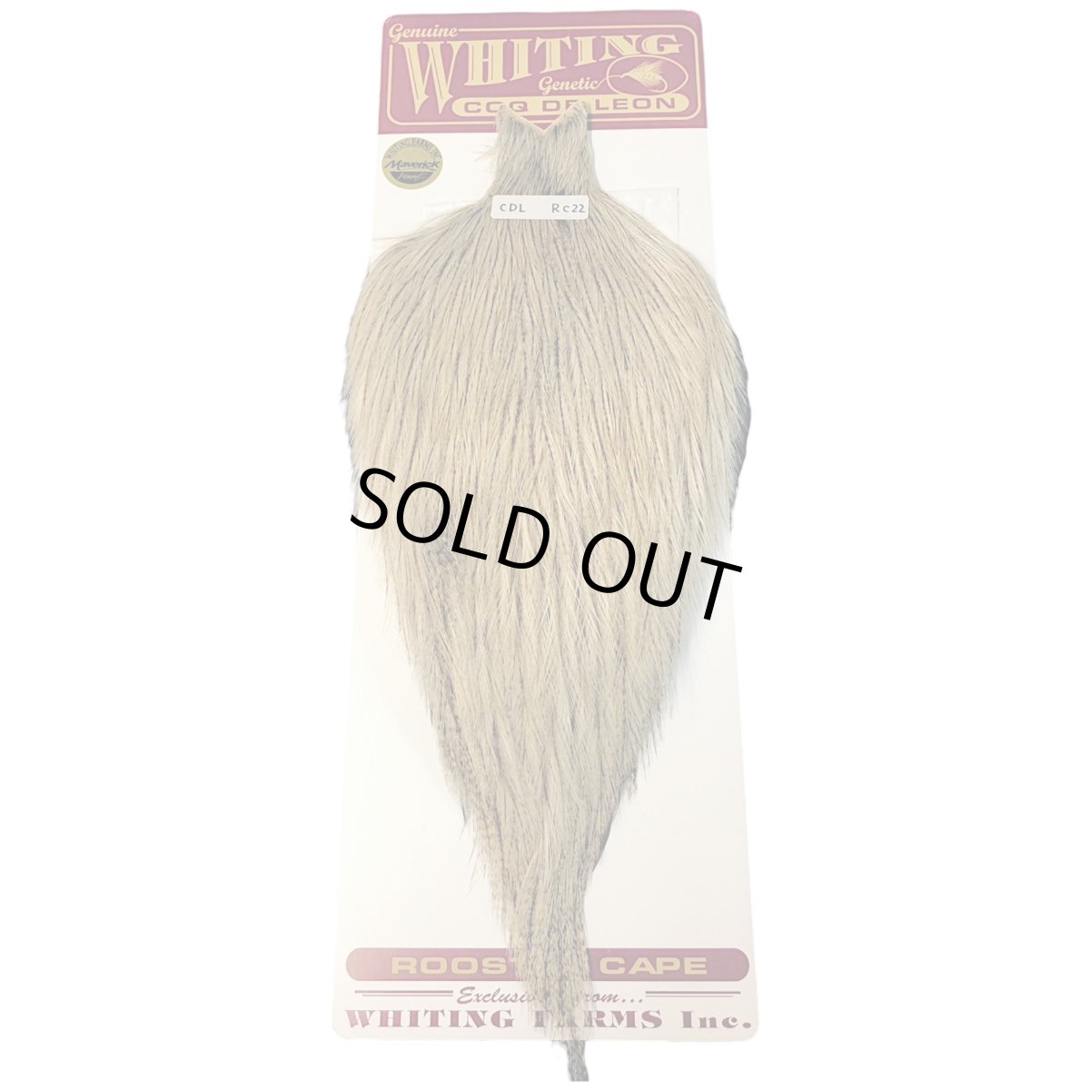 画像1: WHITING　Coq de Leon　Rooster Cape　ルースターケープ　クリームバジャー　RC22　ホワイティング　 (1)