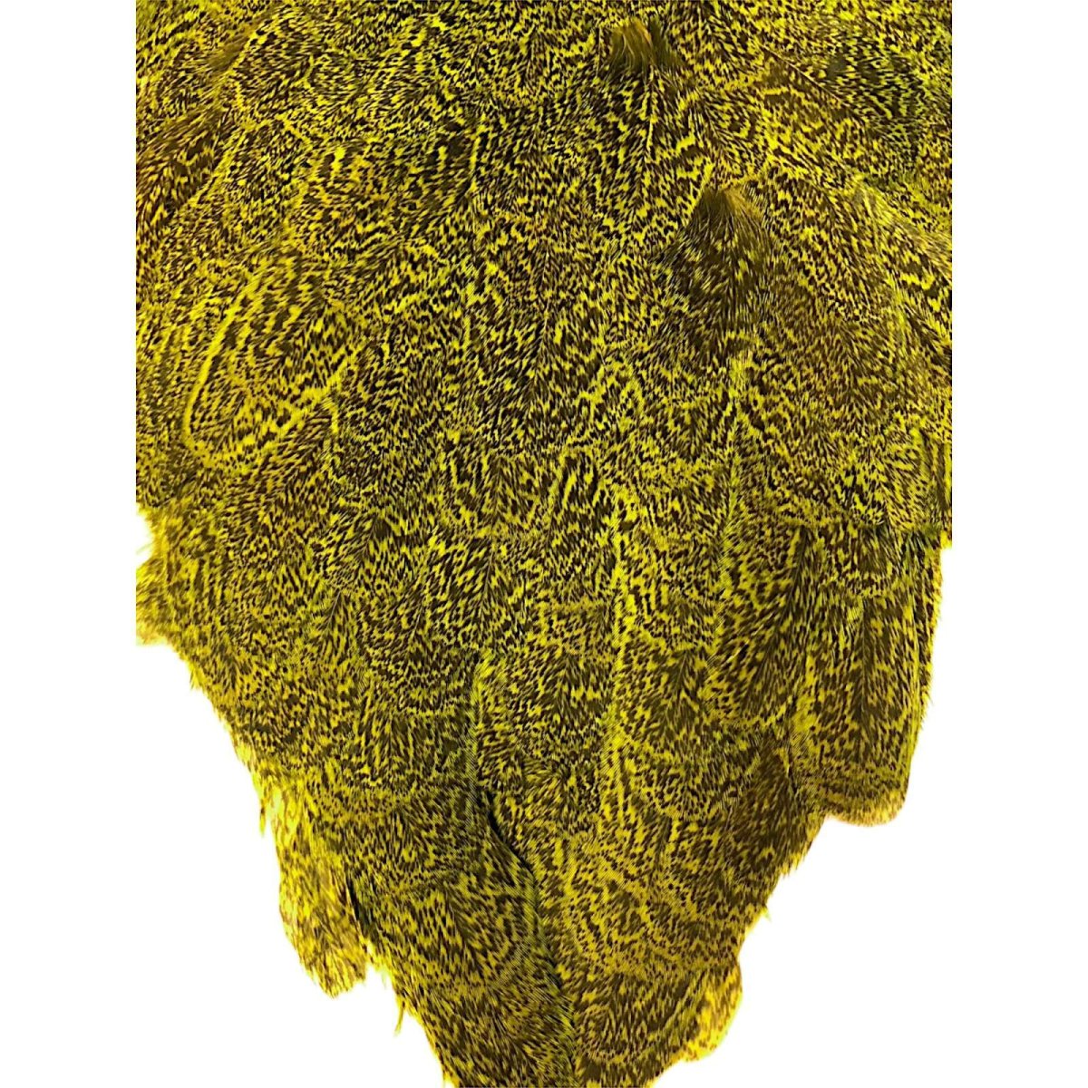 画像3: WHITING Coq de Leon Hen Saddle ヘンサドル FLグリーンチャート HS9 ホワイティング  (3)