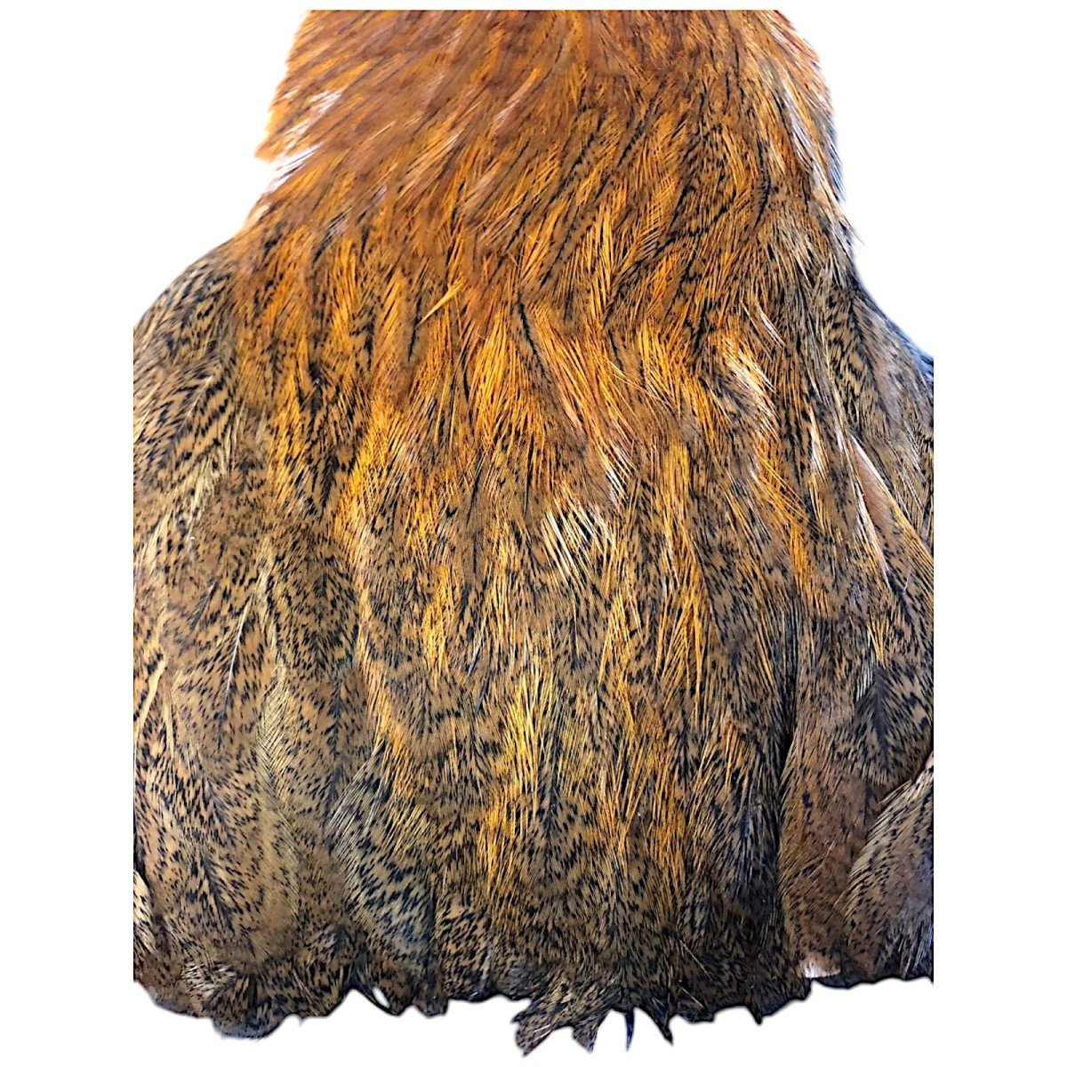 画像3: WHITING Coq de Leon Hen Cape ヘンケープ ジンジャースペックルド  HC5 ホワイティング  (3)