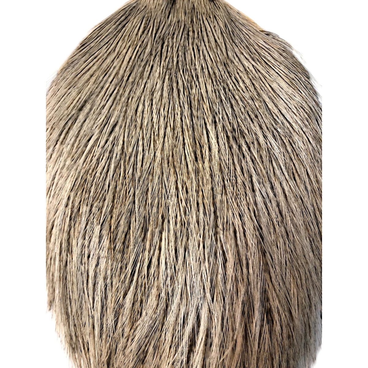 画像2: WHITING Coq de Leon Rooster Cape ルースターケープ クリームバジャー RC19 ホワイティング  (2)