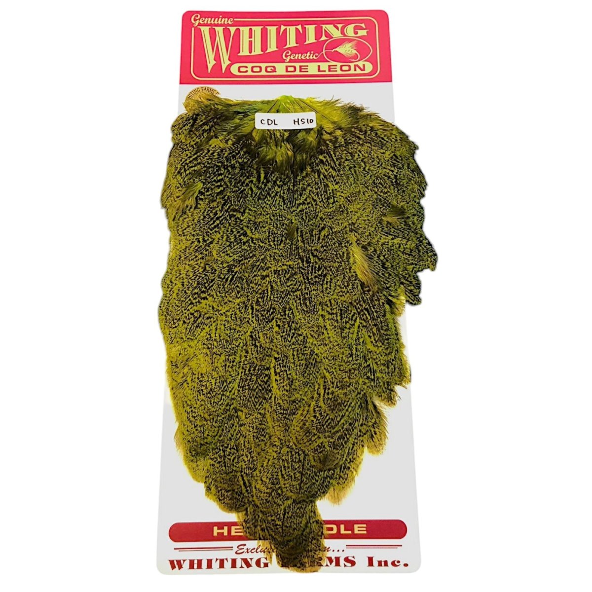 画像1: WHITING　Coq de Leon　Hen Saddle　ヘンサドル　FLグリーンチャート　HS10　ホワイティング　 (1)