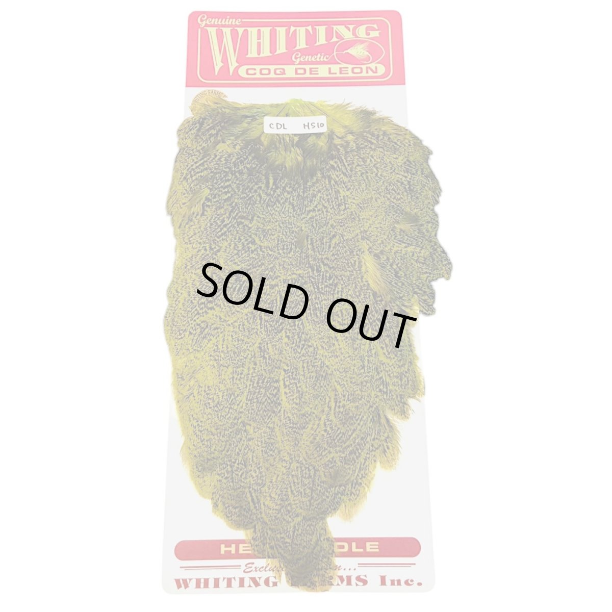 画像1: WHITING　Coq de Leon　Hen Saddle　ヘンサドル　FLグリーンチャート　HS10　ホワイティング　 (1)