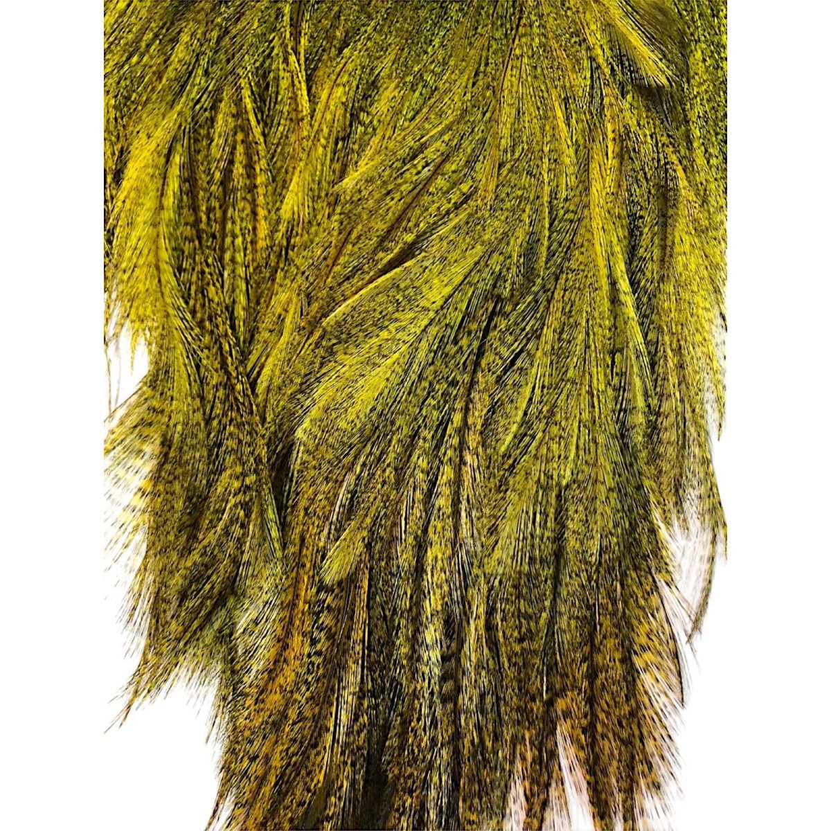 画像3: WHITING Coq de Leon Rooster Saddle ルースターサドル FLイエローチャート Bronze Grade  BS11 ホワイティング  (3)