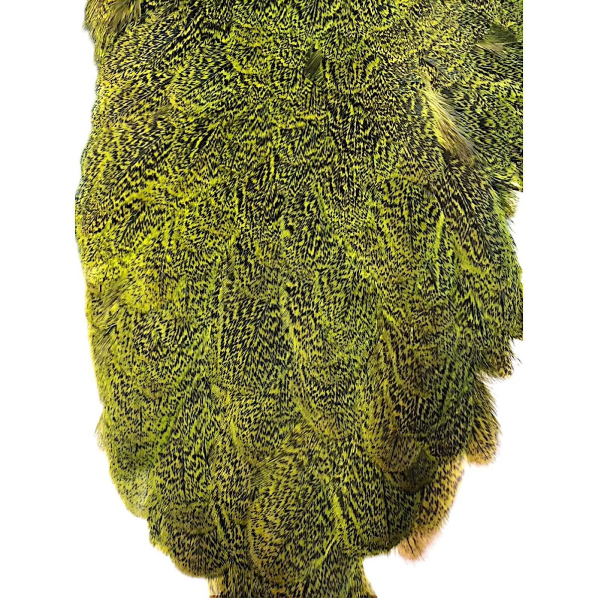 画像3: WHITING Coq de Leon Hen Saddle ヘンサドル FLグリーンチャート HS10 ホワイティング  (3)