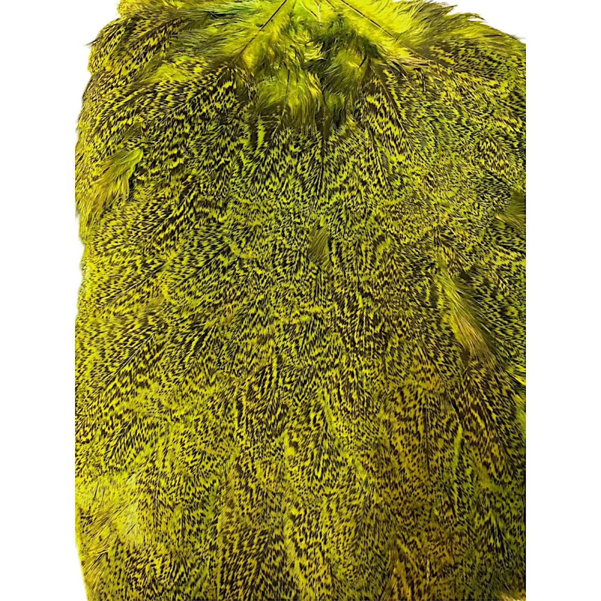 画像2: WHITING Coq de Leon Hen Saddle ヘンサドル FLグリーンチャート HS10 ホワイティング  (2)