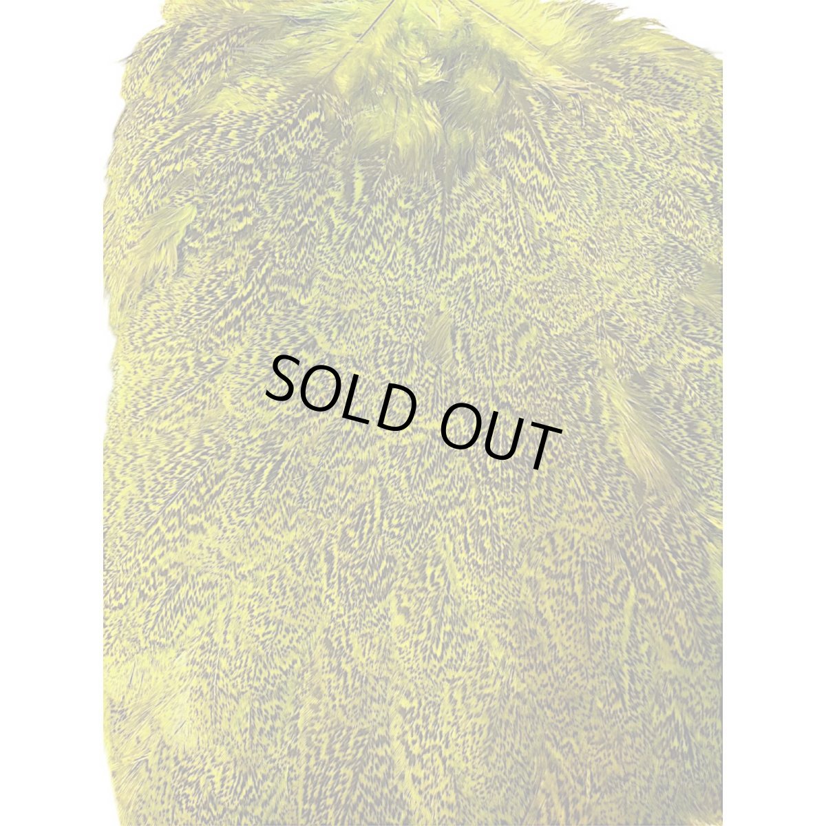 画像2: WHITING　Coq de Leon　Hen Saddle　ヘンサドル　FLグリーンチャート　HS10　ホワイティング　 (2)