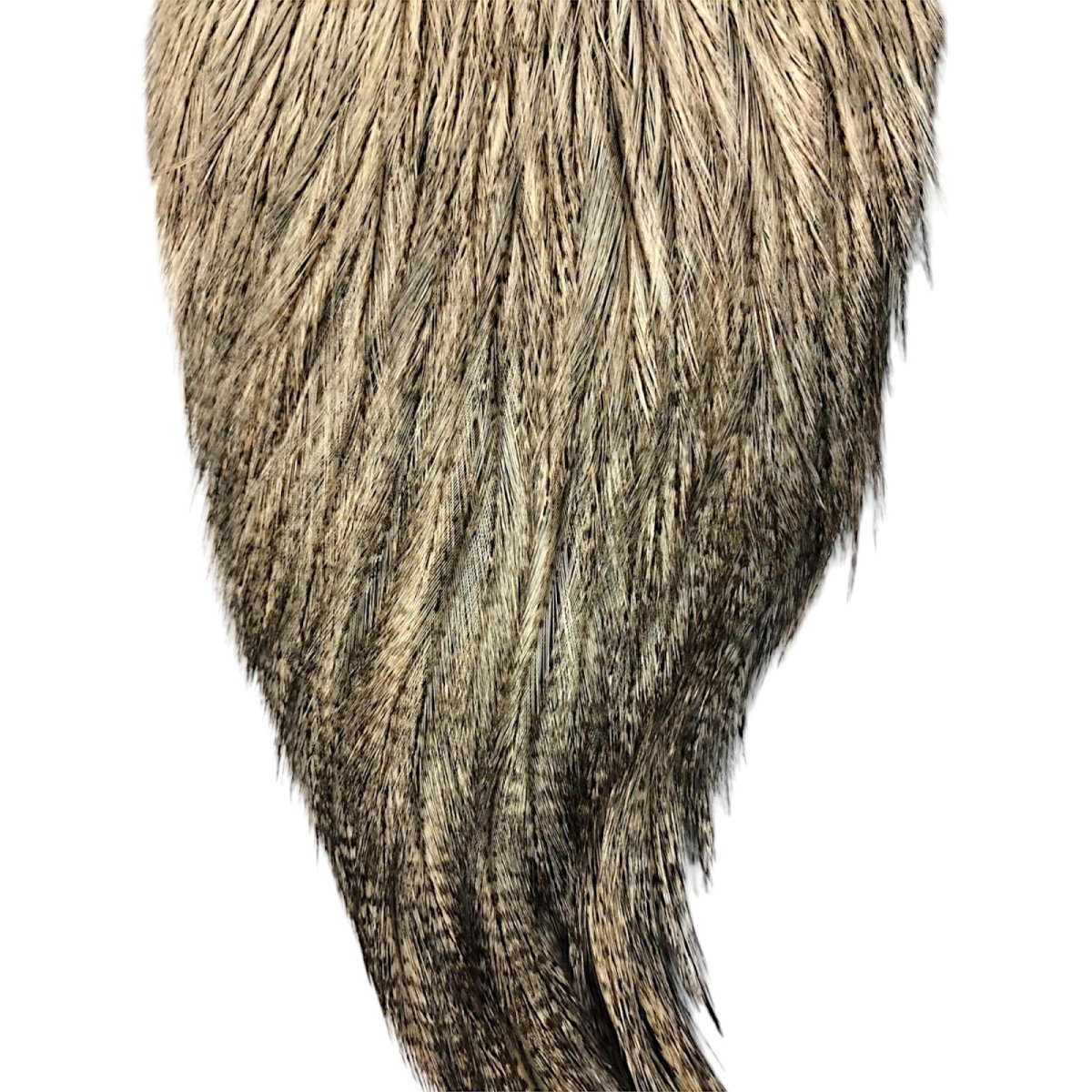 画像3: WHITING Coq de Leon Rooster Cape ルースターケープ クリームバジャー RC20 ホワイティング  (3)