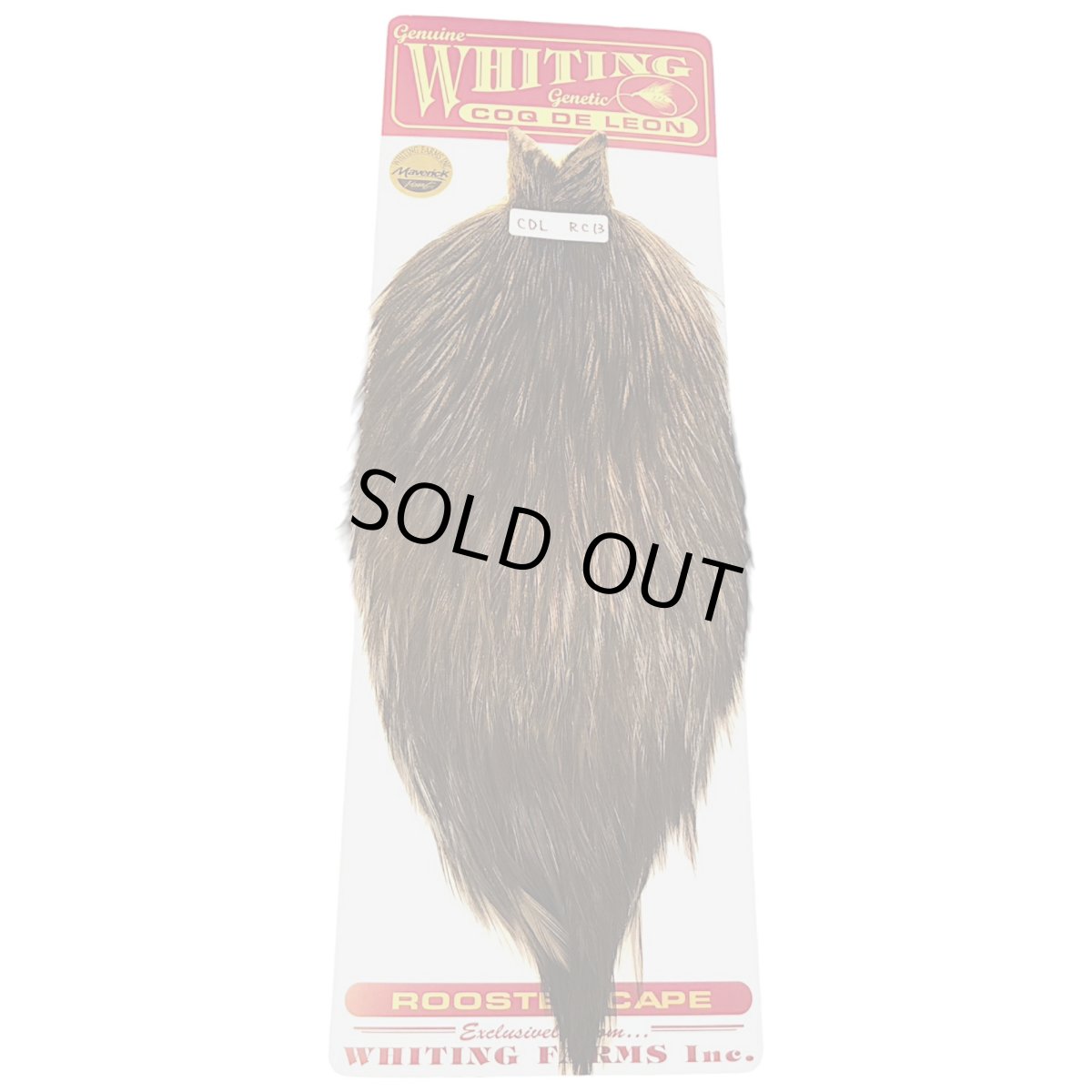 画像1: WHITING　Coq de Leon　Rooster Cape　ルースターケープ　ブラック　RC13　ホワイティング　 (1)