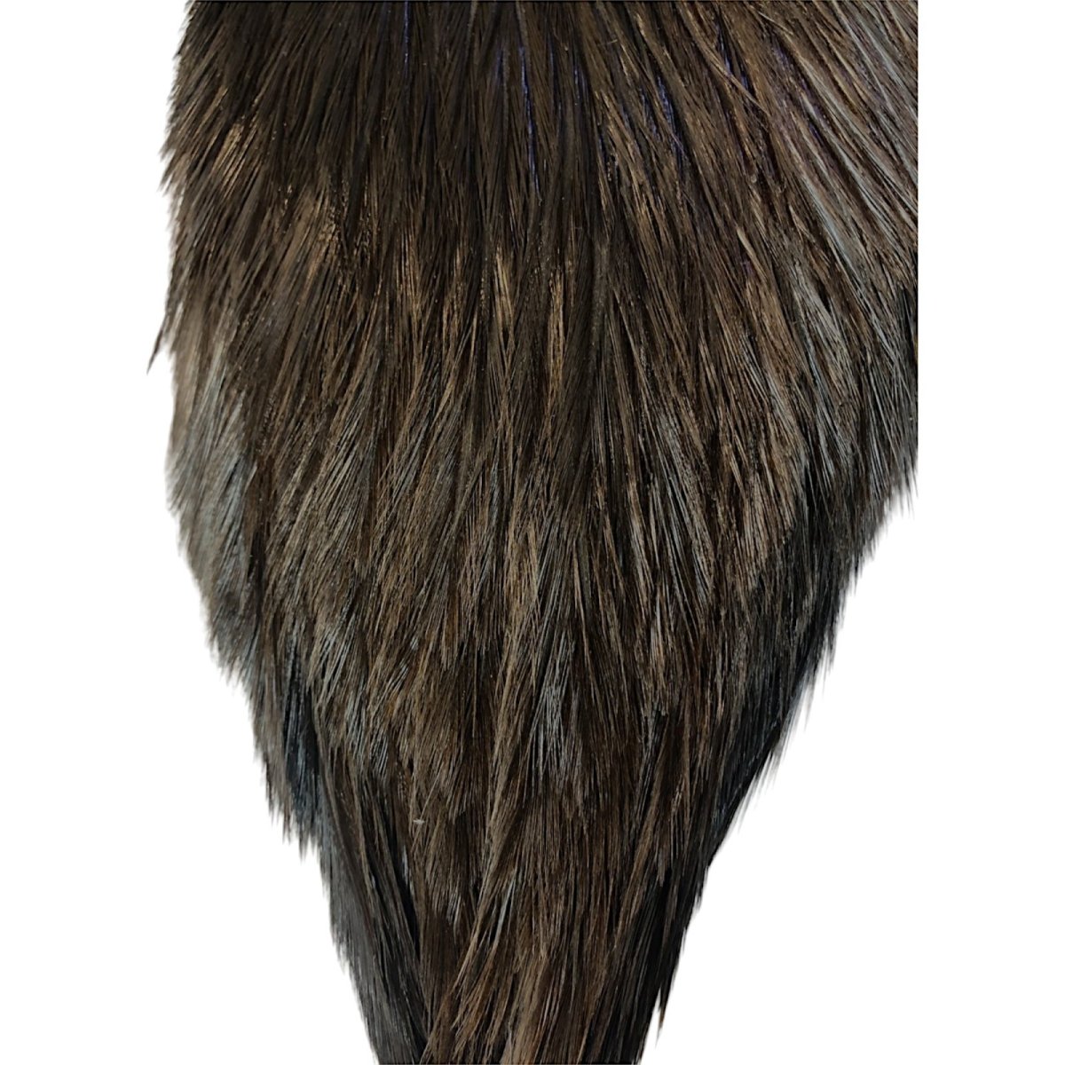 画像3: WHITING Coq de Leon Rooster Cape ルースターケープ ブラック RC16 ホワイティング  (3)