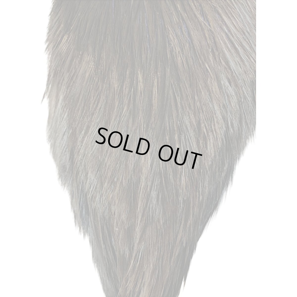 画像3: WHITING　Coq de Leon　Rooster Cape　ルースターケープ　ブラック　RC16　ホワイティング　 (3)