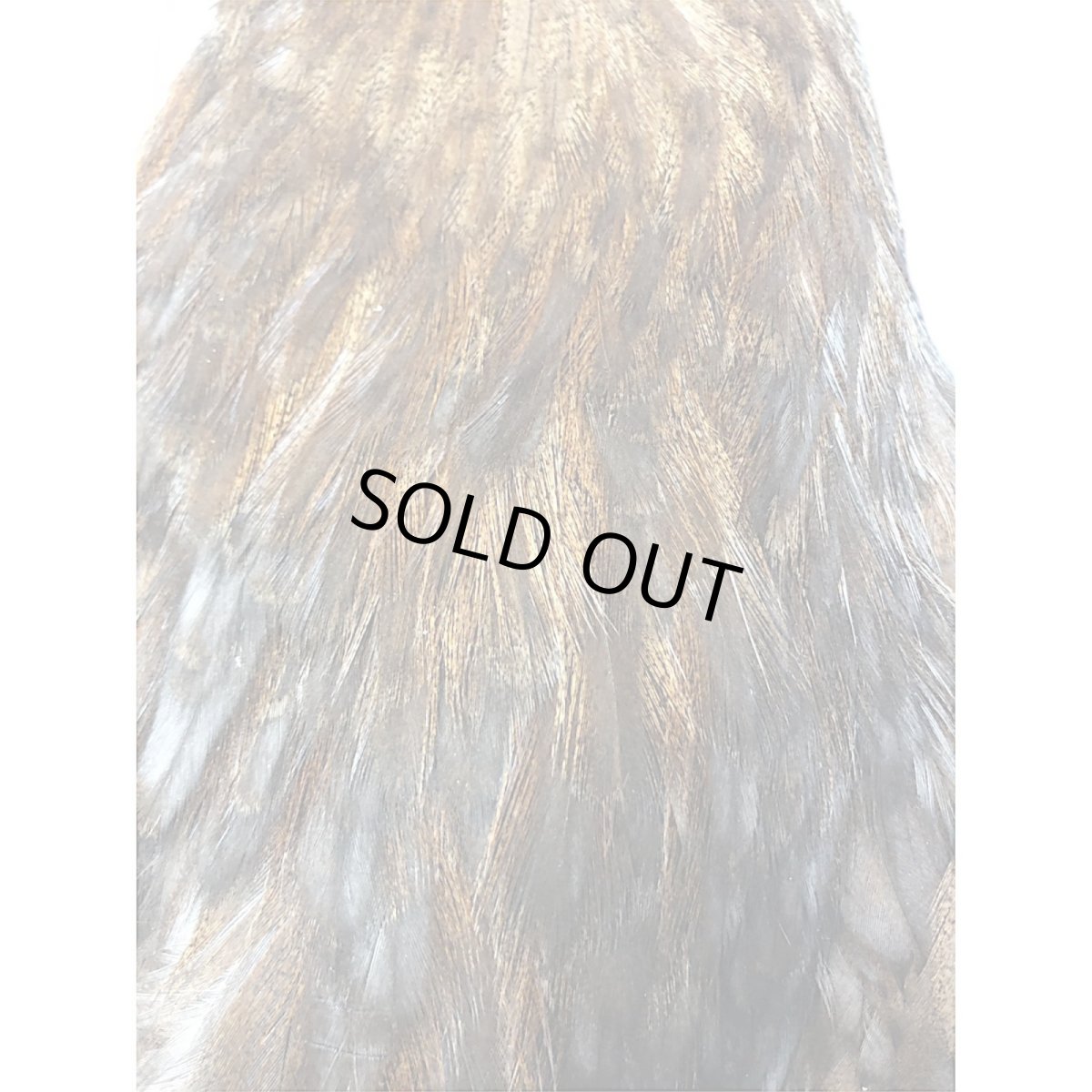 画像3: WHITING Coq de Leon Hen Cape ヘンケープ ユニークバリアント HC12 ホワイティング  (3)