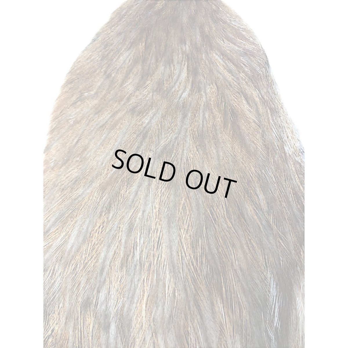 画像2: WHITING Coq de Leon Hen Cape ヘンケープ ユニークバリアント HC10 ホワイティング  (2)