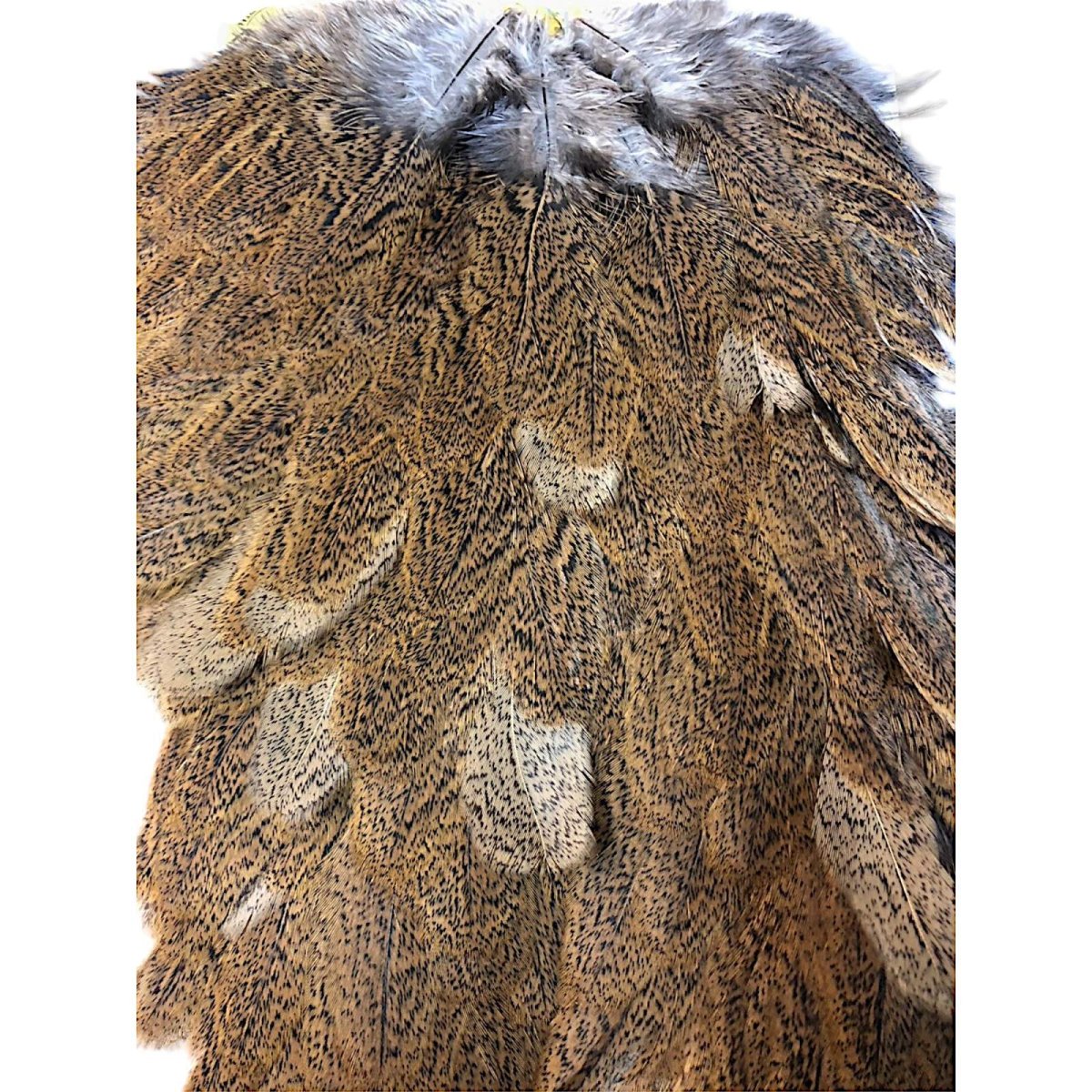 画像2: WHITING Coq de Leon Hen Saddle ヘンサドル ジンジャースペックルド HS1 ホワイティング  (2)