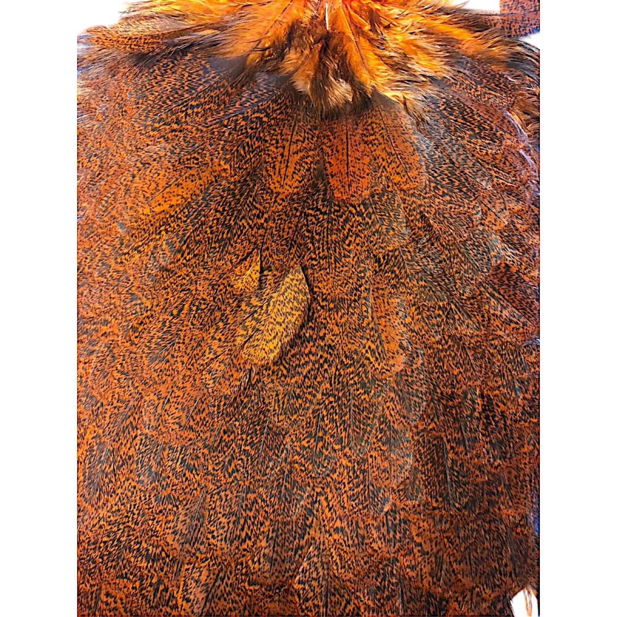 画像2: WHITING Coq de Leon Hen Saddle ヘンサドル オレンジ HS7 ホワイティング  (2)