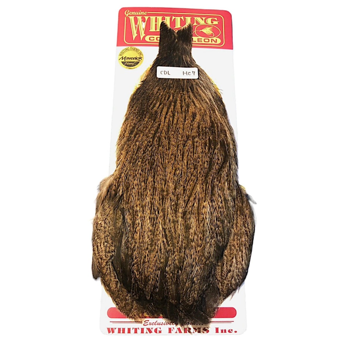 画像1: WHITING　Coq de Leon　Hen Cape　ヘンケープ　ゴールデンバジャー 　HC7　ホワイティング　 (1)