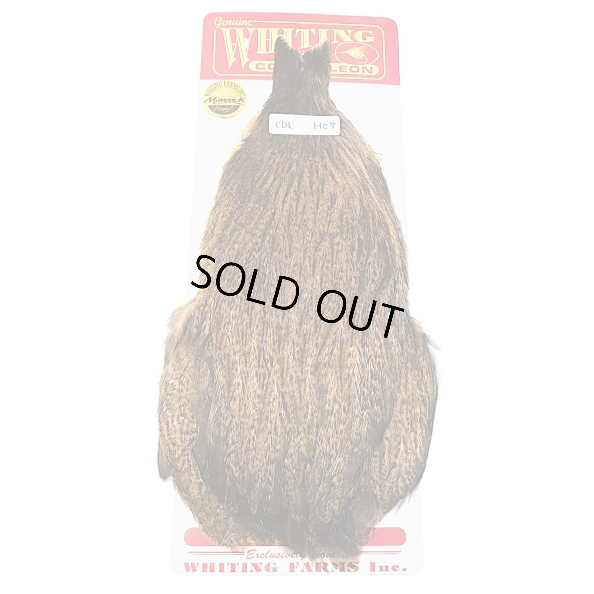 画像1: WHITING Coq de Leon Hen Cape ヘンケープ ゴールデンバジャー  HC7 ホワイティング  (1)