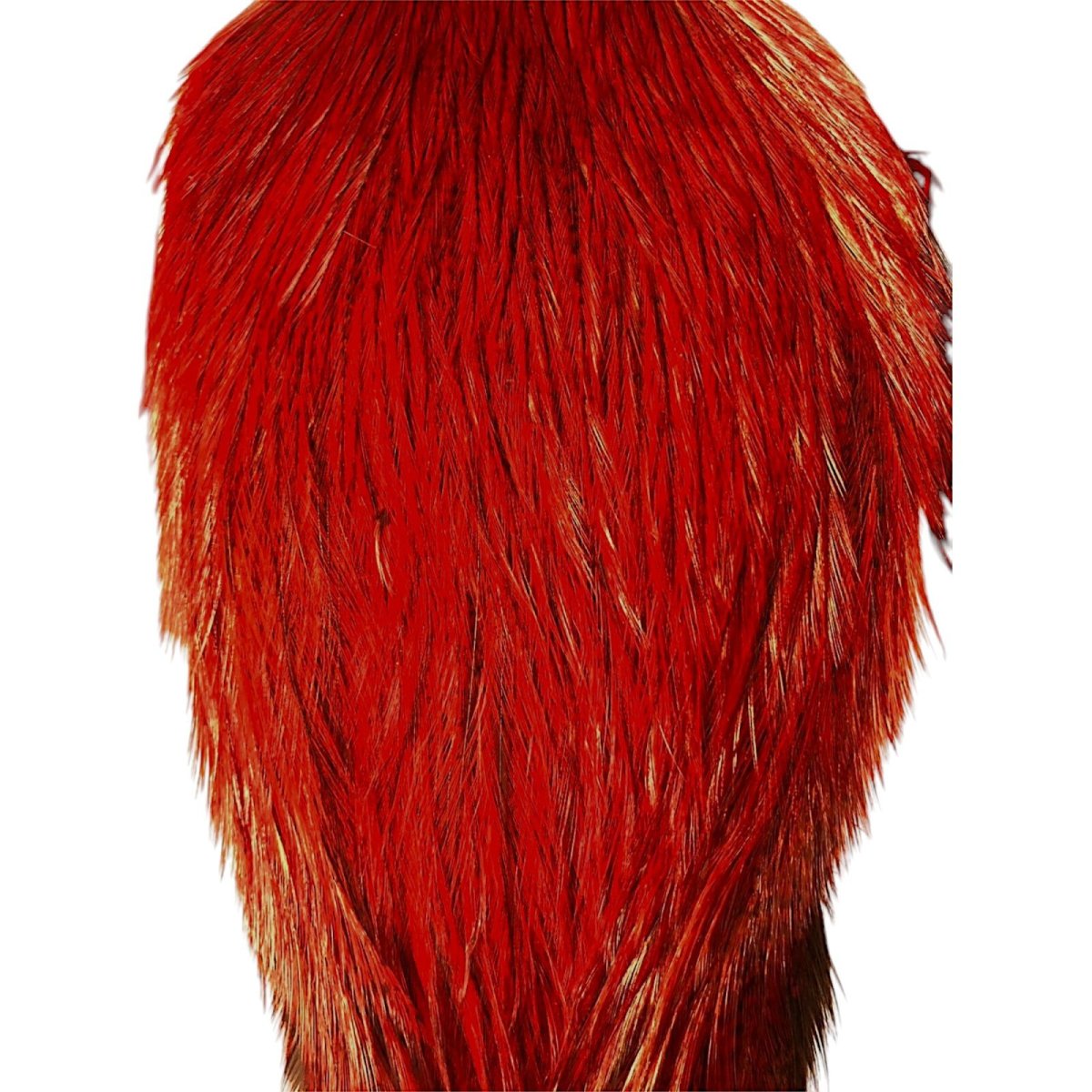 画像2: WHITING Coq de Leon Rooster Cape ルースターケープ ダイドレッド RC23 ホワイティング  (2)