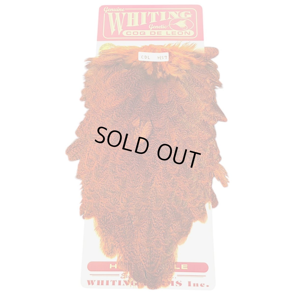 画像1: WHITING　Coq de Leon　Hen Saddle　ヘンサドル　オレンジ　HS7　ホワイティング　 (1)