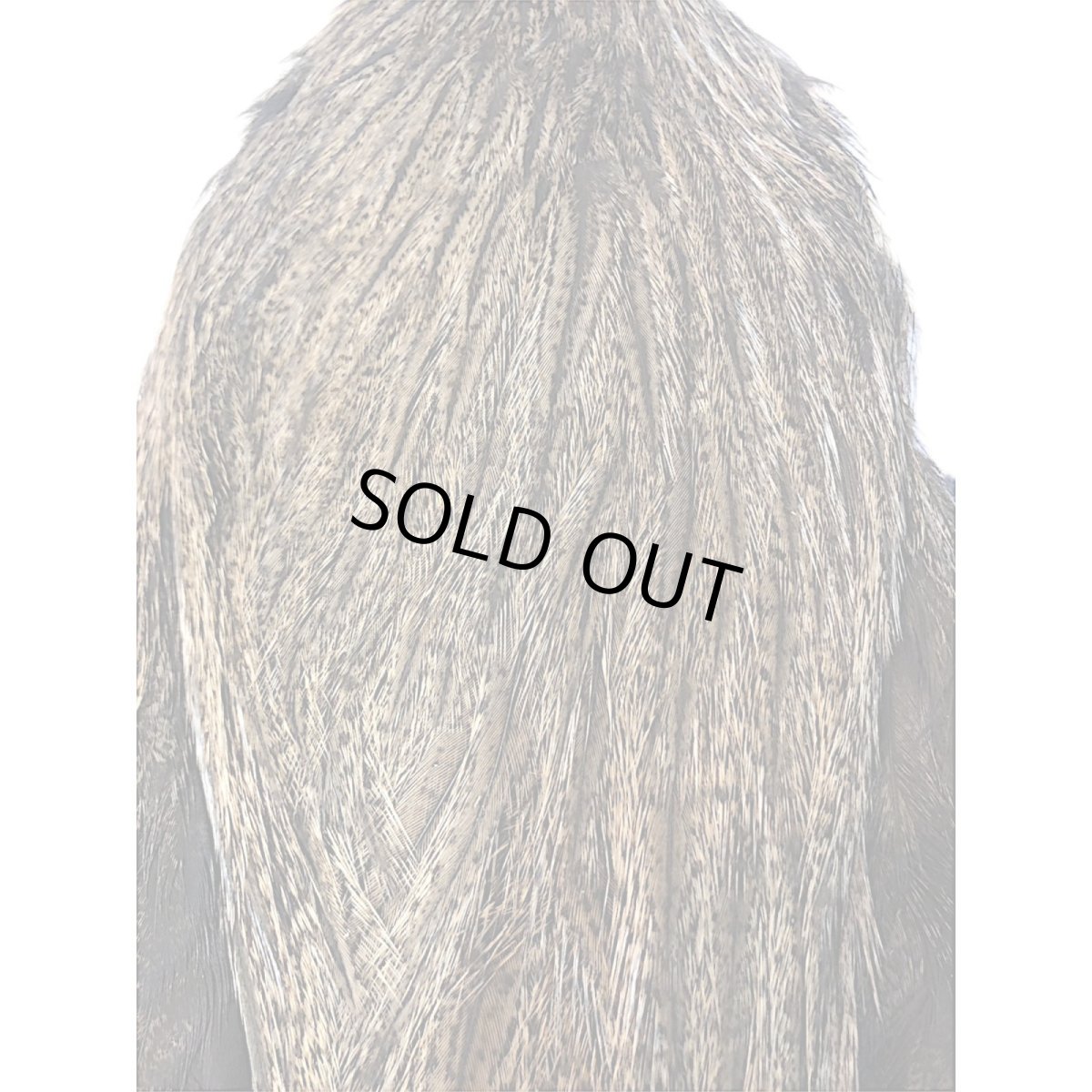 画像2: WHITING Coq de Leon Hen Cape ヘンケープ ゴールデンバジャー  HC8 ホワイティング  (2)