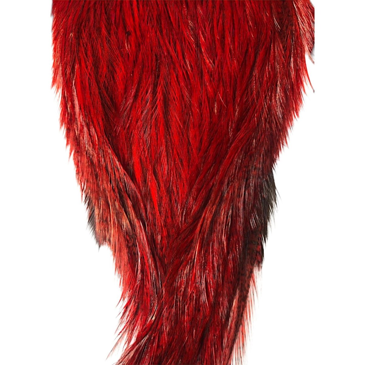 画像3: WHITING Coq de Leon Rooster Cape ルースターケープ ダイドレッド RC23 ホワイティング  (3)