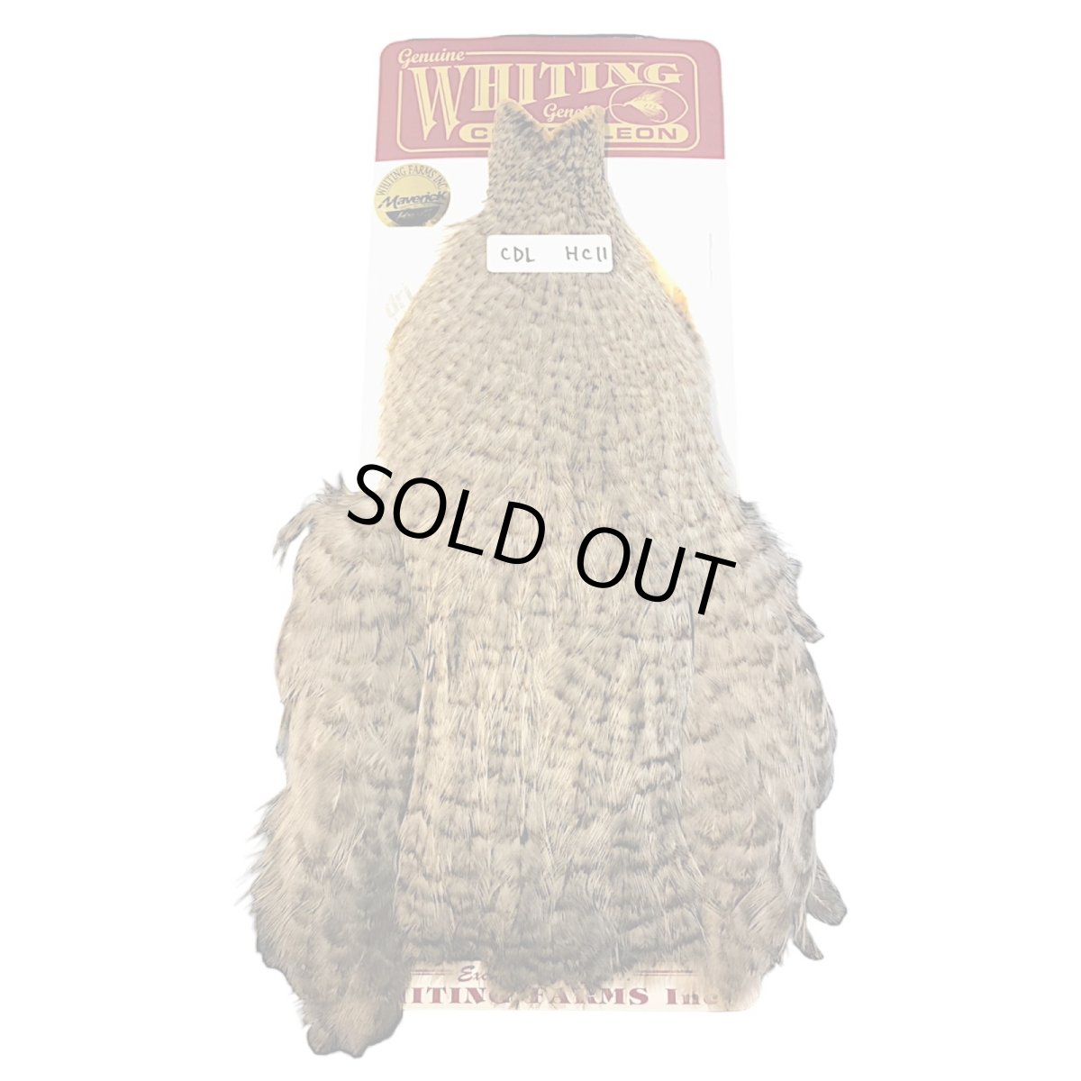 画像1: WHITING　Coq de Leon　Hen Cape　ヘンケープ　ユニークバリアント　HC11　ホワイティング　 (1)