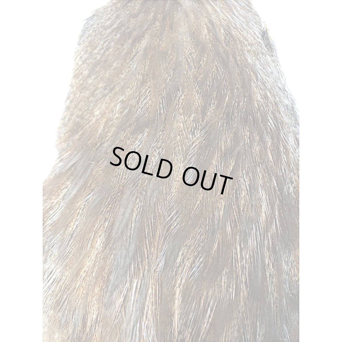 画像2: WHITING Coq de Leon Hen Cape ヘンケープ ユニークバリアント HC9 ホワイティング  (2)