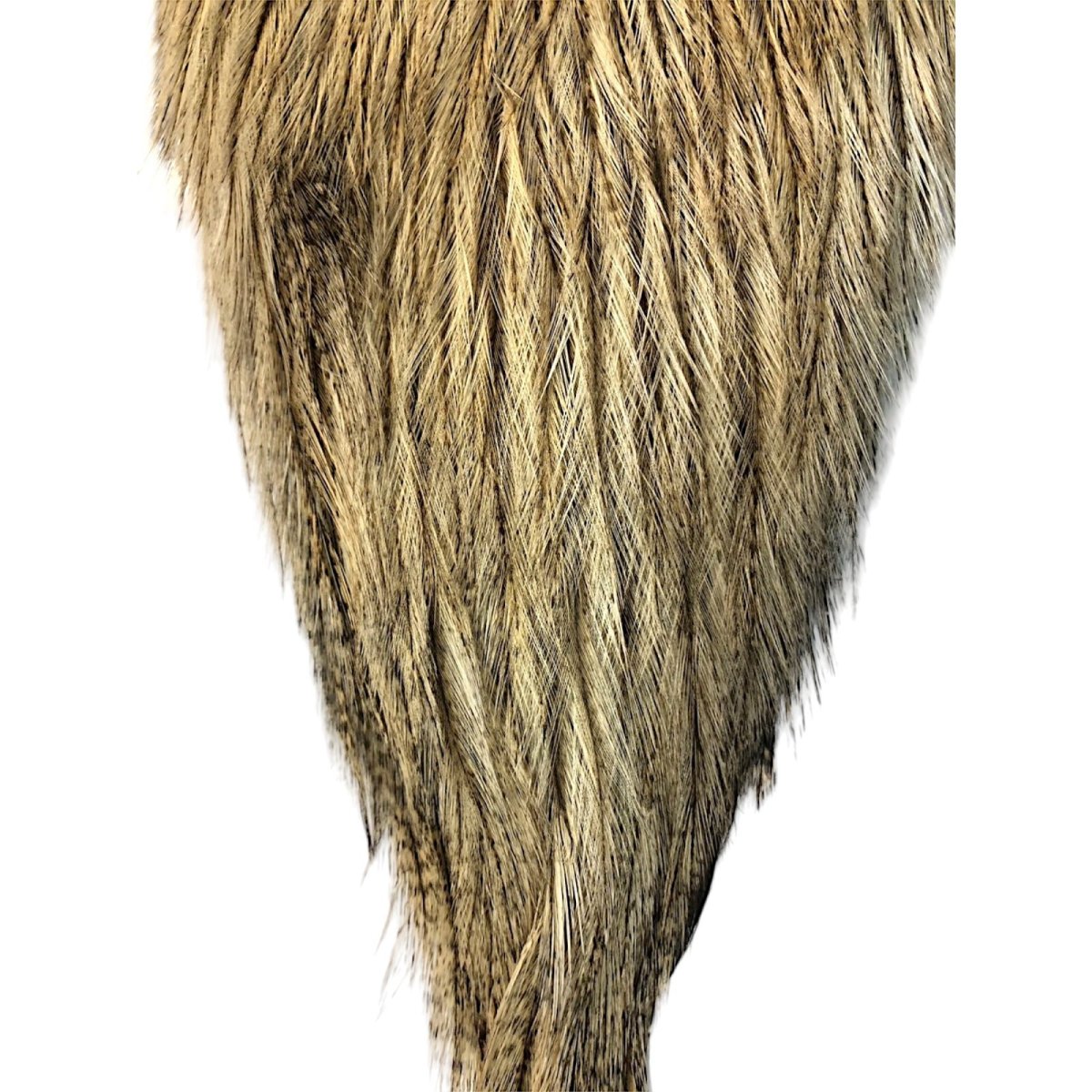 画像3: WHITING Coq de Leon Rooster Cape ルースターケープ クリームバジャー RC22 ホワイティング  (3)