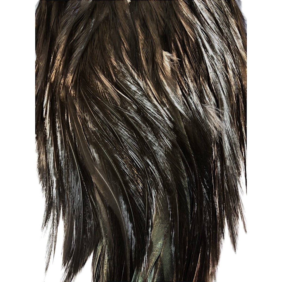 画像3: WHITING Coq de Leon Rooster Saddle ルースターサドル ブラック Bronze Grade  BS1 ホワイティング  (3)