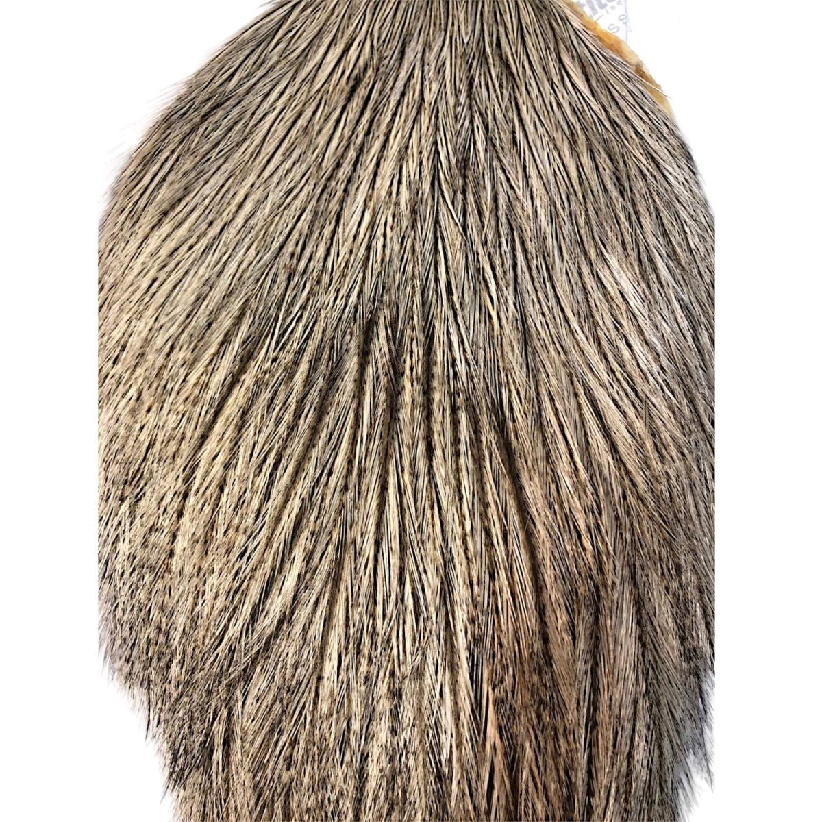 画像2: WHITING Coq de Leon Rooster Cape ルースターケープ クリームバジャー RC17 ホワイティング  (2)