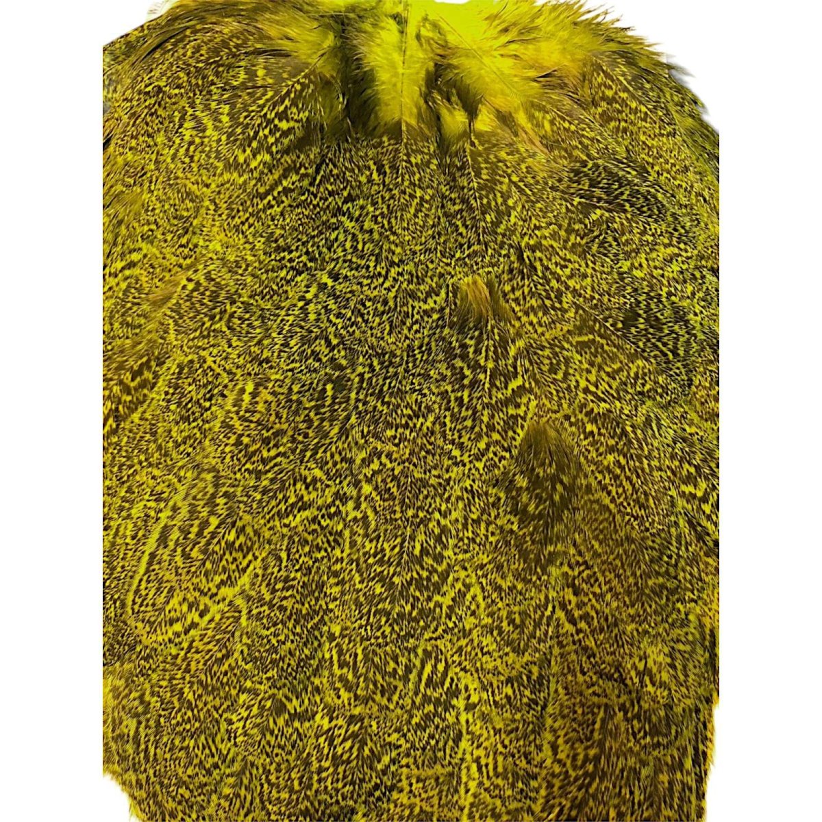 画像2: WHITING Coq de Leon Hen Saddle ヘンサドル FLグリーンチャート HS9 ホワイティング  (2)