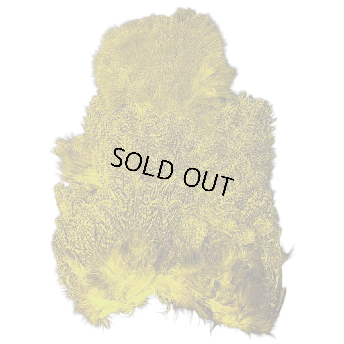 画像2: WHITING Coq de Leon Rooster & Hen Soft Hackle with Chickabou チカブー FLイエローチャート CB6 ホワイティング  (2)