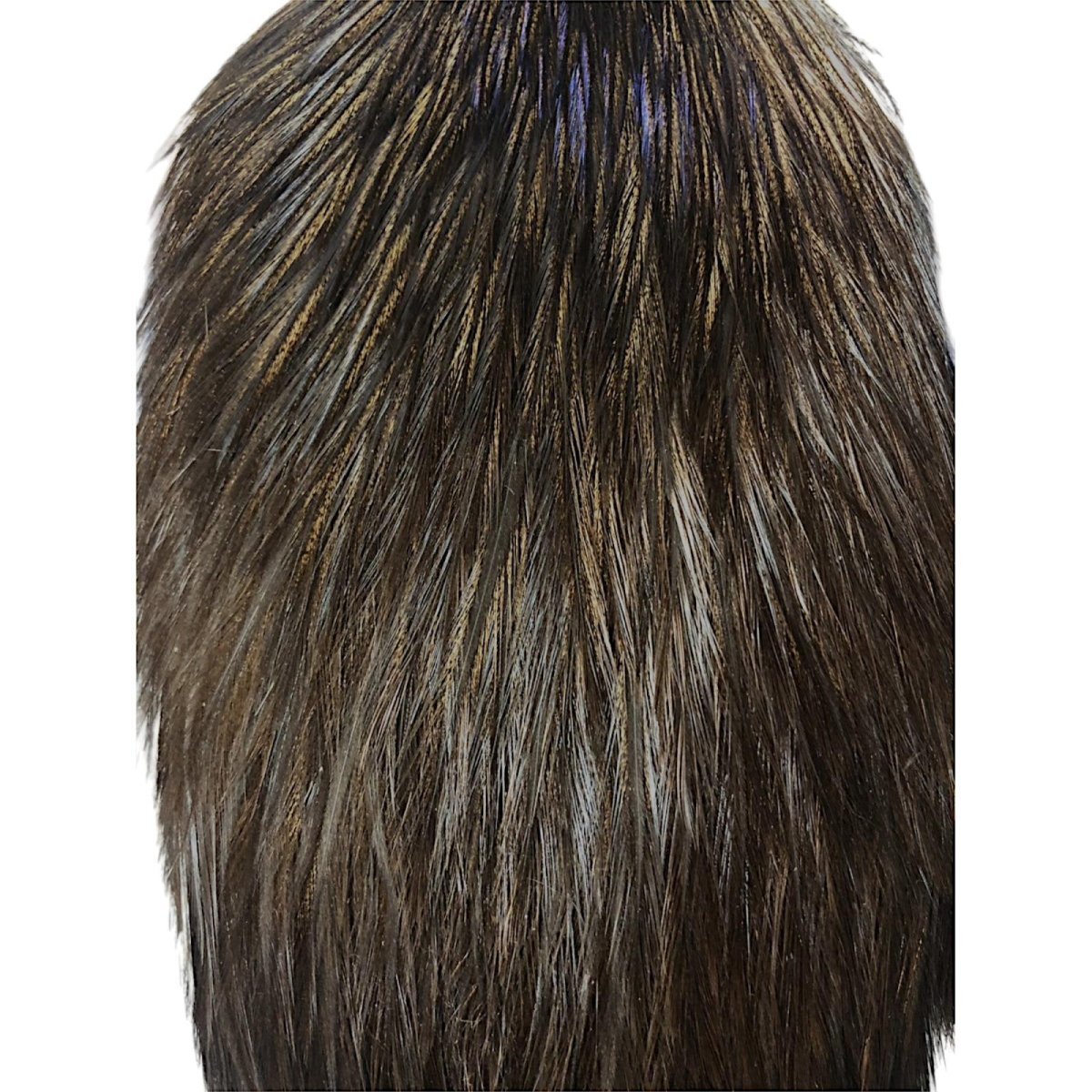 画像2: WHITING Coq de Leon Rooster Cape ルースターケープ ブラック RC13 ホワイティング  (2)